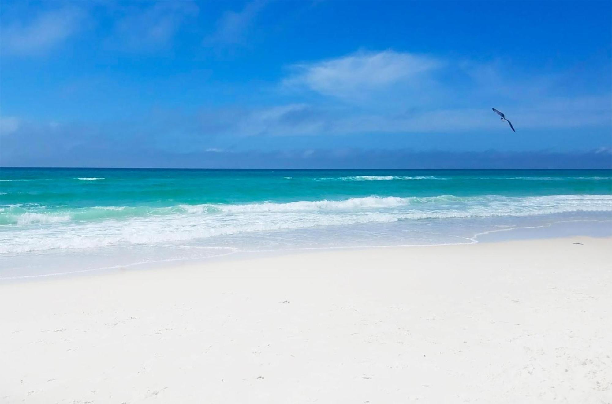 Appartamento Twin Palms 804 Panama City Beach Esterno foto